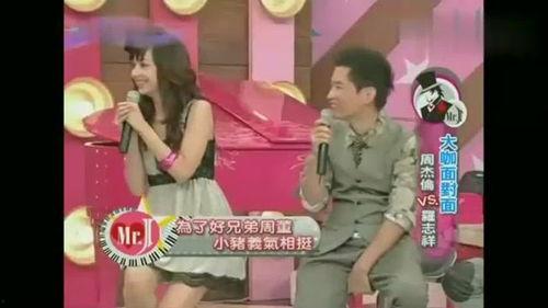 小猪节目爆料视频大全集,揭秘幕后故事与精彩瞬间  第1张